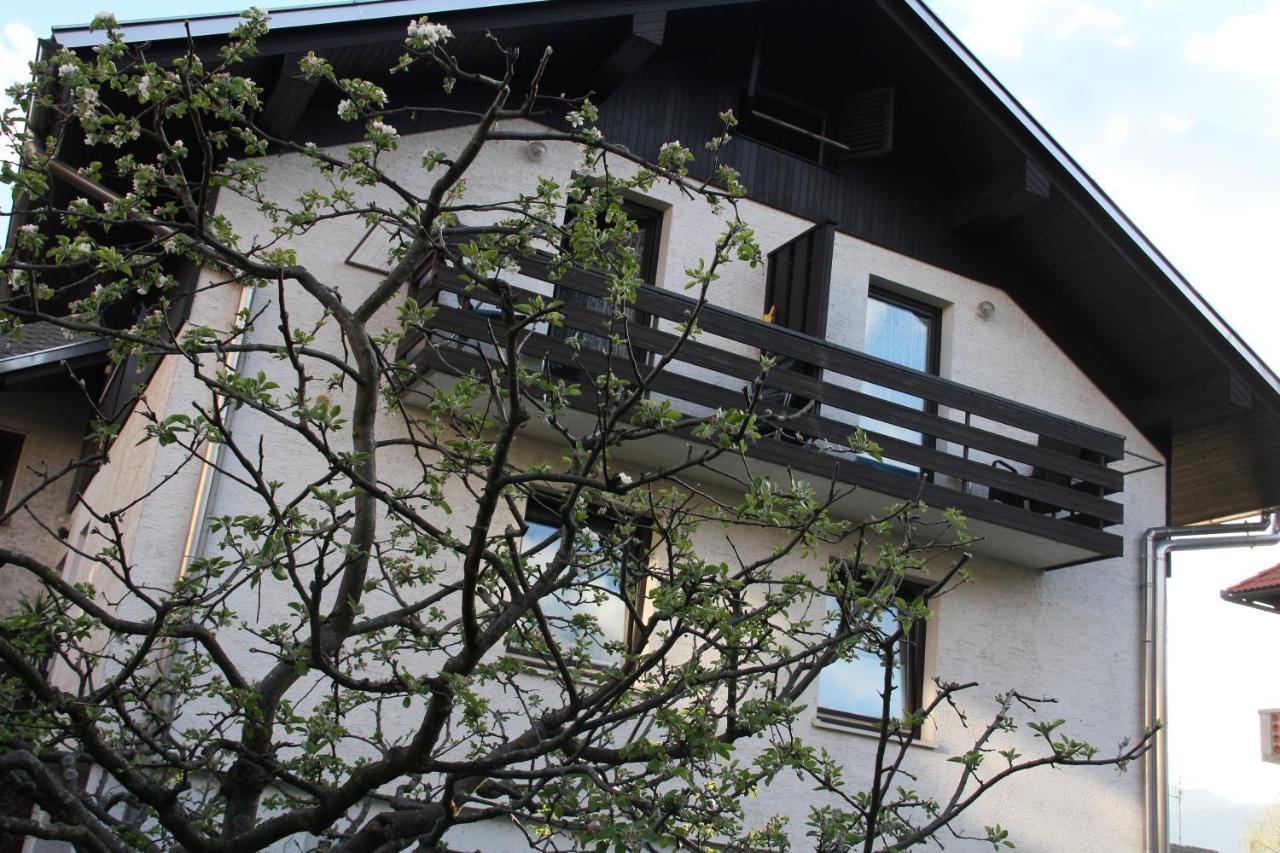 Apartments Kapus Center 블레드 외부 사진